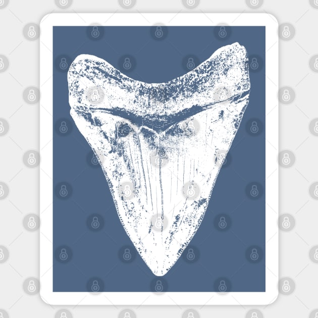 Megalodon Shark Tooth Magnet by IncognitoMode